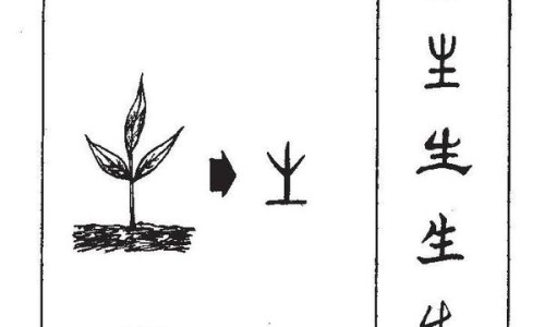 妇科十味片功能主治与用量-妇科十味片功能主治-专业妇科十味片主治什么病平台-妇科十味片适用人群