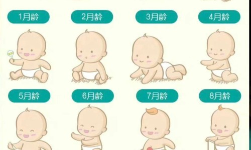 妇科十味片能治妇科炎症吗-妇科十味片功能主治-专业妇科十味片主治什么病平台-妇科十味片适用人群